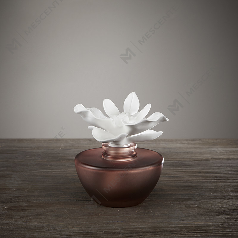 Mini perfume de flores blancas, aroma, aceite difusor de caña, fragancia, juego de regalo de difusores de caña de Tailandia