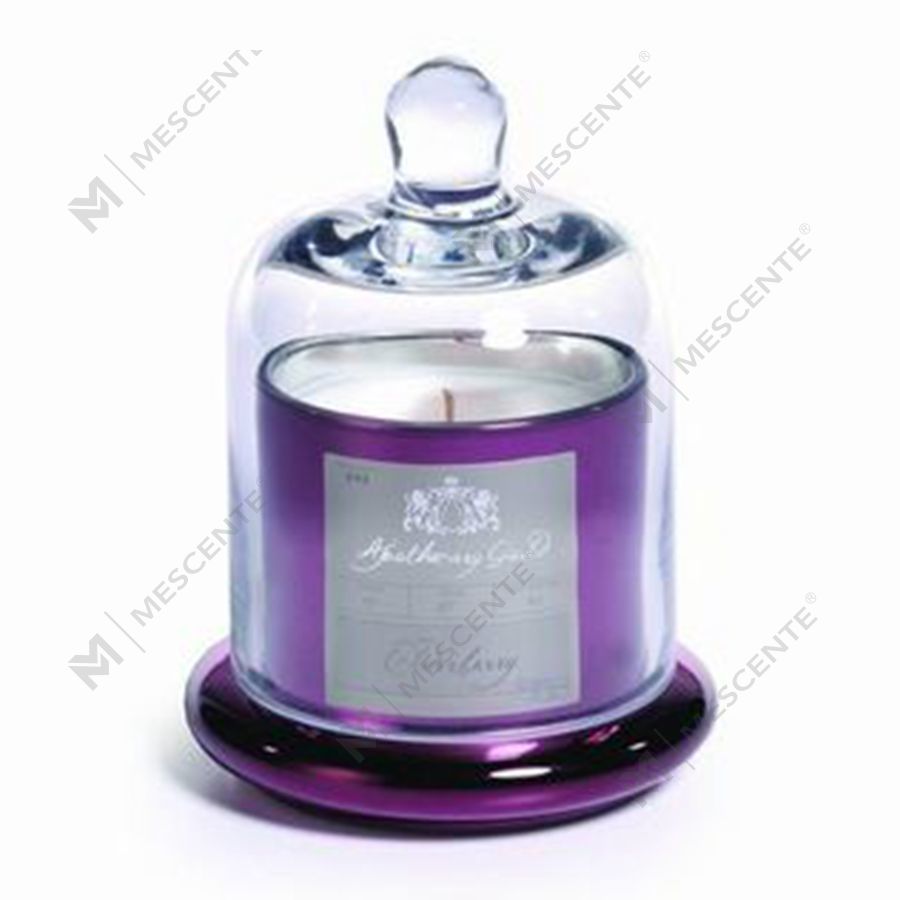 Frascos con cúpula de vidrio y soporte para velas perfumadas con cubierta abovedada plateada de lujo de Mescente