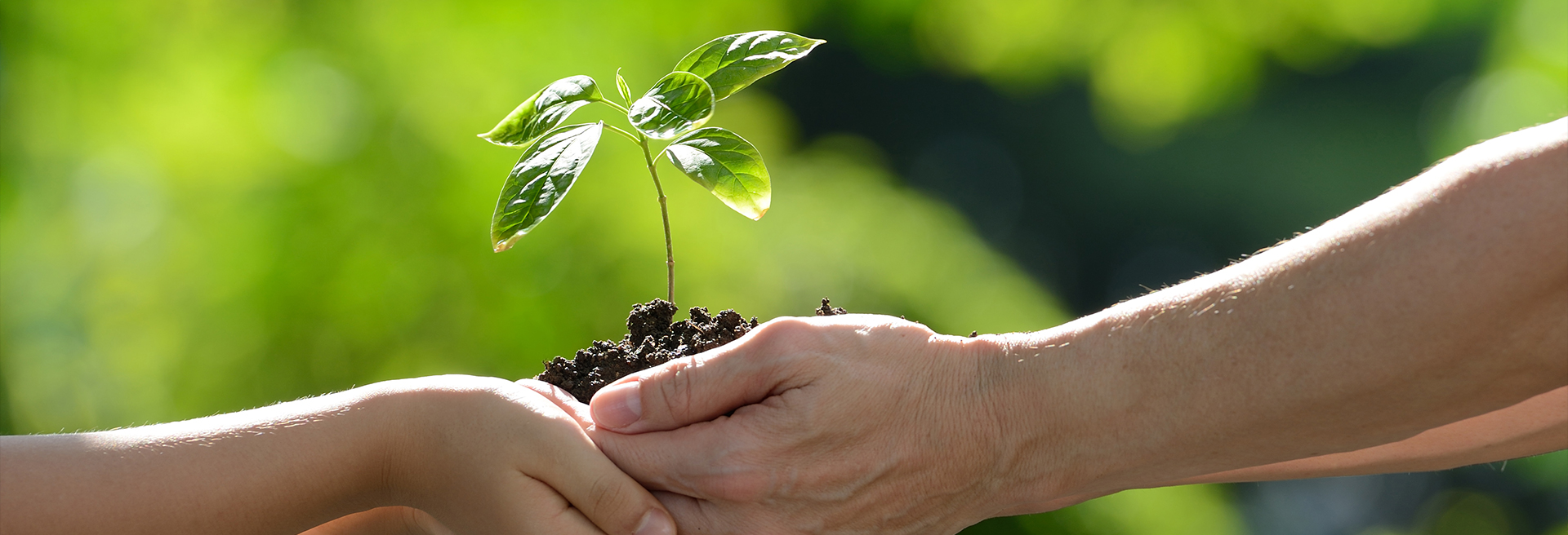 Suzhou M&scent Arts&crafts Co., Ltd.